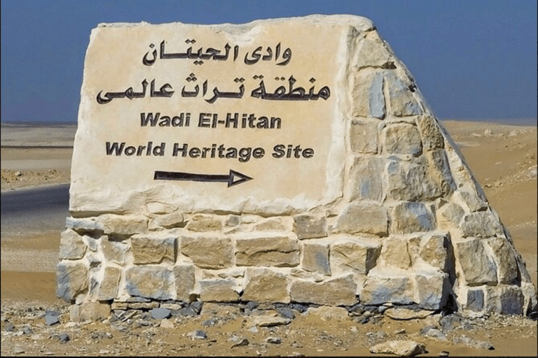 De El Cairo al Valle de las Ballenas y las Cascadas de Wadi El Rayan