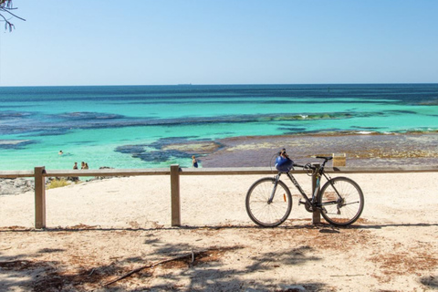 Perth: Destaque da cidade Viagem de 1 dia para a Ilha RottnestTour guiado em alemão