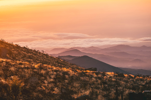 Hele dag wandelervaring van Kilimanjaro naar Mandara Hut