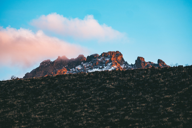 Da Moshi: trekking guidato di un&#039;intera giornata sul Kilimanjaro al rifugio Mandara