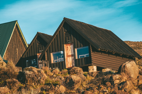 Randonnée d'une journée sur le Kilimandjaro jusqu'à Mandara Hut