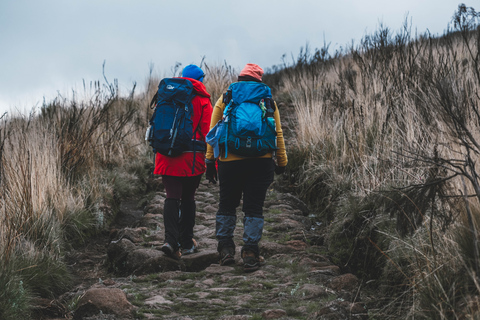 Hele dag wandelervaring van Kilimanjaro naar Mandara Hut