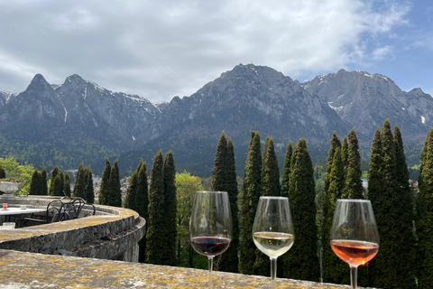 Peles &amp; Cantacuzino Castles: Gourmet Wine &amp; Cultural trip