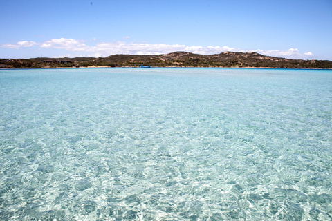 Bonifacio: Isola Piana and Lavezzi Tour