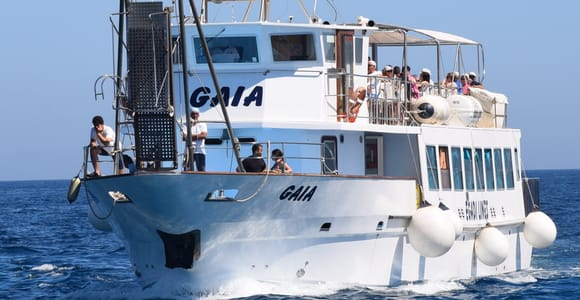 Von Palermo aus: Bus & Kreuzfahrt nach Favignana & Levanzo mit Mittagessen