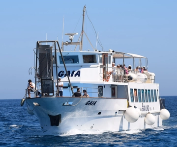 Desde Palermo: Autobús y crucero a Favignana y Levanzo con almuerzo