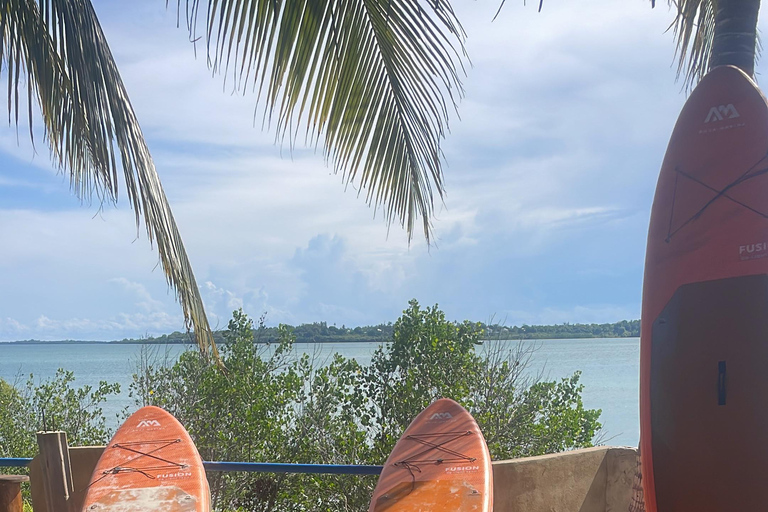 Zanzibar: Soulful SUP/kayak adventure in mangrove bay Soulful kayak ~ a peaceful adventure in unique mangrove bay