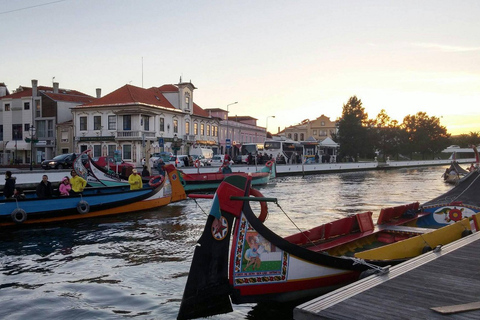 Visite d'Aveiro (4 heures) : Depuis Porto ; visite de la ville - Excursion d'une demi-journée