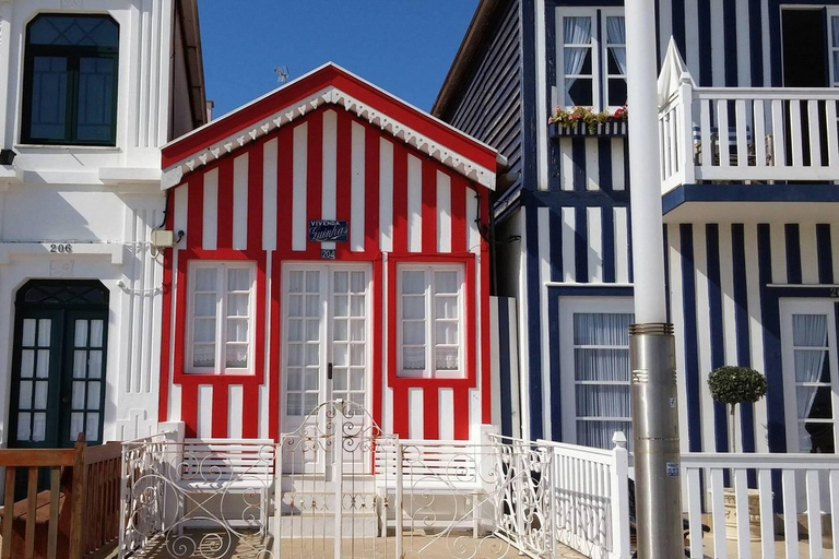 Visite d'Aveiro (4 heures) : Depuis Porto ; visite de la ville - Excursion d'une demi-journée