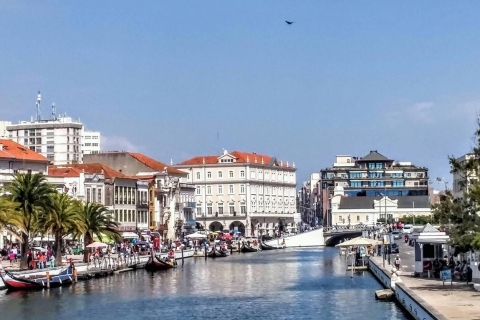 Visite d'Aveiro (4 heures) : Depuis Porto ; visite de la ville - Excursion d'une demi-journée