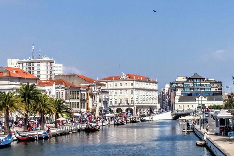 Visite d'Aveiro (4 heures) : Depuis Porto ; visite de la ville - Excursion d'une demi-journée