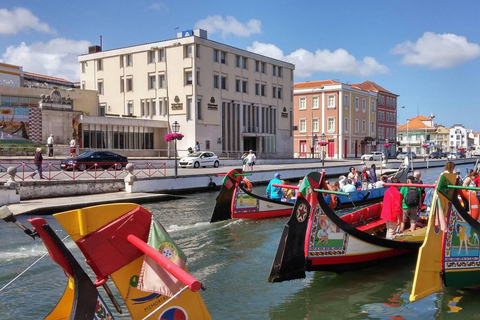 Visite d'Aveiro (4 heures) : Depuis Porto ; visite de la ville - Excursion d'une demi-journée