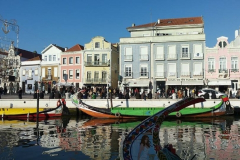 Visite d'Aveiro (4 heures) : Depuis Porto ; visite de la ville - Excursion d'une demi-journée