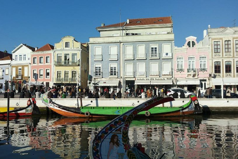 Visite d'Aveiro (4 heures) : Depuis Porto ; visite de la ville - Excursion d'une demi-journée