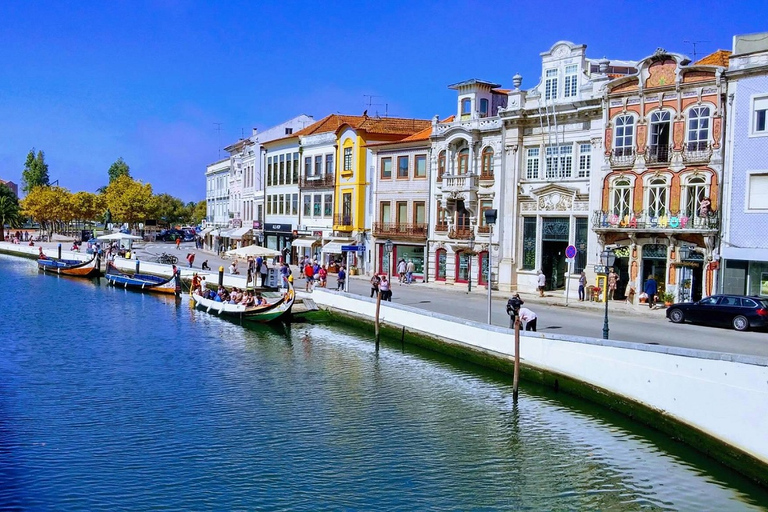 Visite d'Aveiro (4 heures) : Depuis Porto ; visite de la ville - Excursion d'une demi-journée