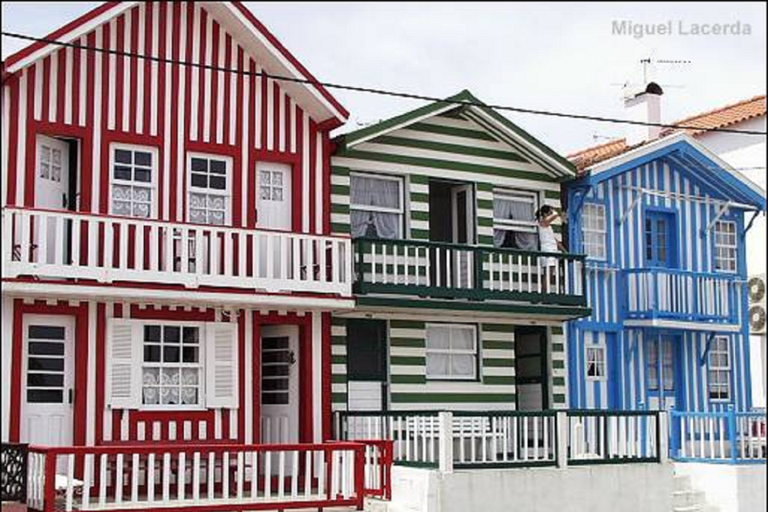 Visite d'Aveiro (4 heures) : Depuis Porto ; visite de la ville - Excursion d'une demi-journée