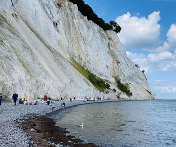 Von Kopenhagen aus: Hin- und Rückfahrt nach Møns Klint und Waldturm