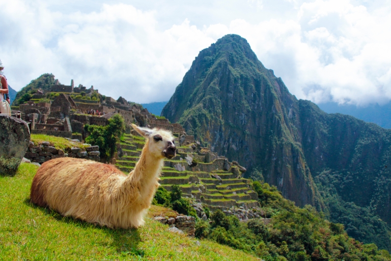 From Cusco: Machu Picchu Day Trip by Vistadome Train Day Trip by Vistadome Train 360° from Cusco