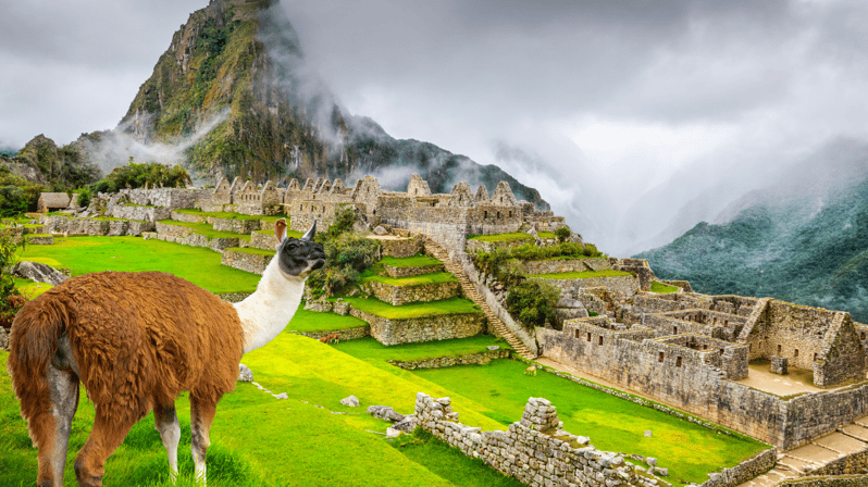 From Cusco Machu Picchu Day Trip By Vistadome Train Getyourguide