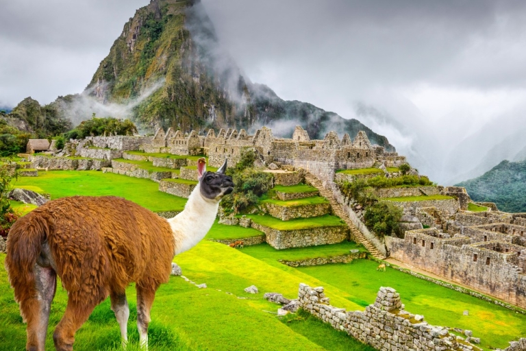 Vanuit Cusco: dagtrip naar Machu Picchu met de Vistadome-treinDagtocht per Vistadome-trein 360° vanuit Cusco