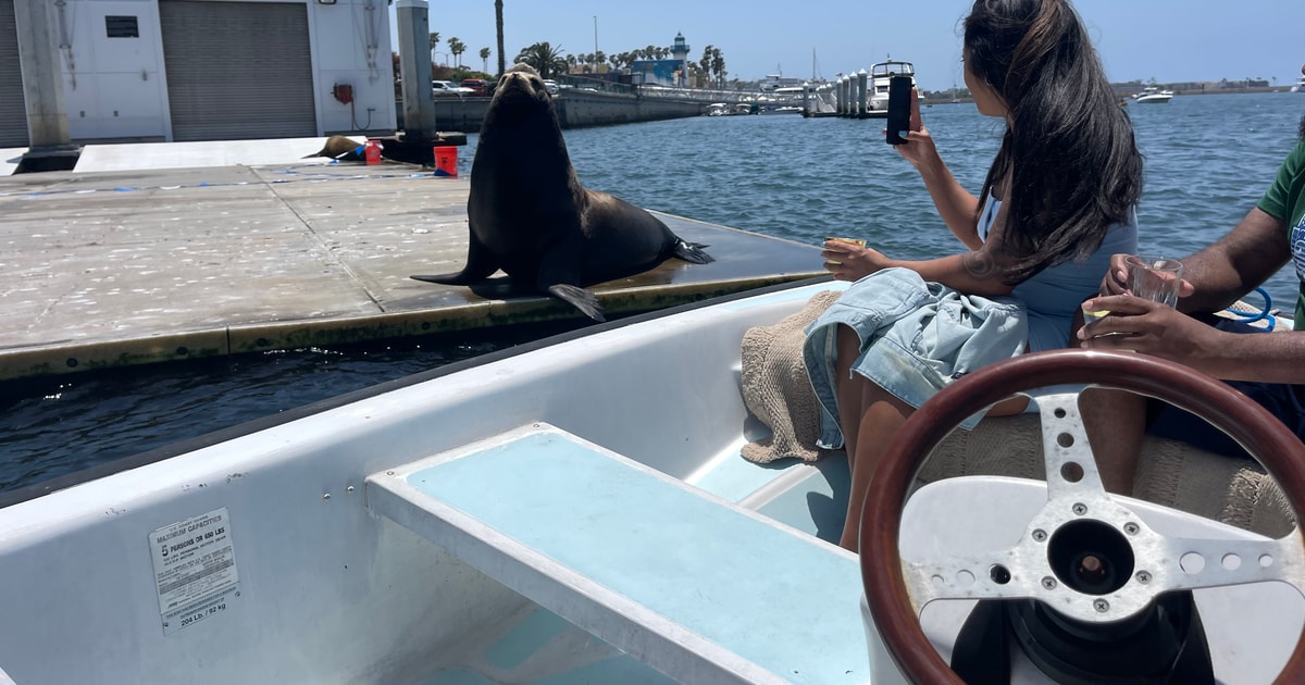 Los Angeles Marina del Rey BYOB Cruise GetYourGuide