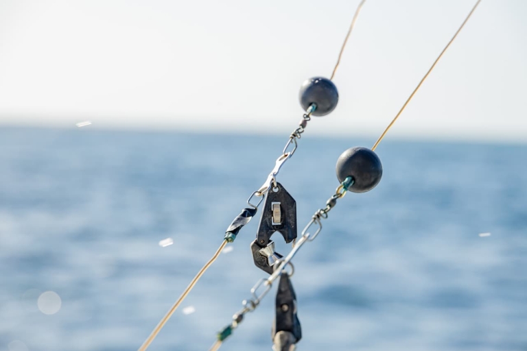 "Aventuras en el Carrete: Una excursión de pesca con aletas"