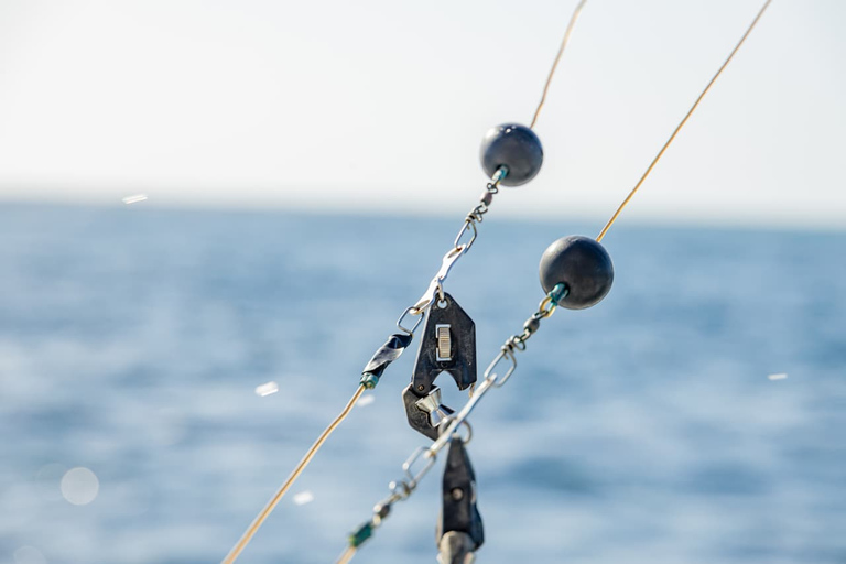 De Punta Cana: Passeio de barco para pesca em alto mar com bebidas&quot;Reel Adventures: um passeio de pesca fantástico&quot;