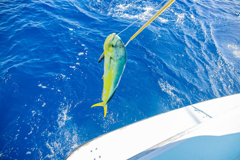 De Punta Cana: Passeio de barco para pesca em alto mar com bebidas&quot;Reel Adventures: um passeio de pesca fantástico&quot;