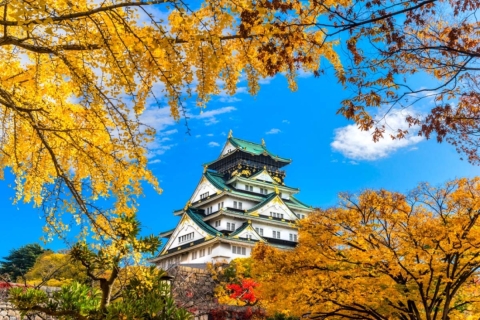 Osaka: 10-stündige anpassbare Tour mit PrivatwagenAb Osaka: 10-stündige individuelle Tour mit Fahrer und Reiseführer