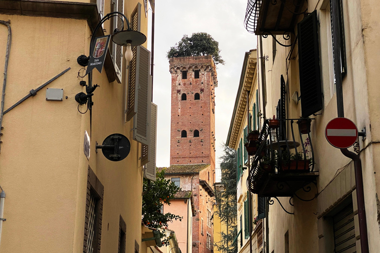 Lucca: tour privato del centro, San Martino e San Frediano