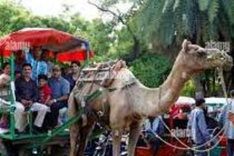 Tajmahal Tour with Tuktuk,Camel & Horse cart