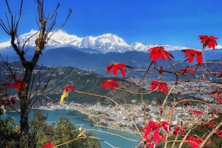 Visite guidée de la ville de PokharaJournée complète de visite de la ville de Pokhara