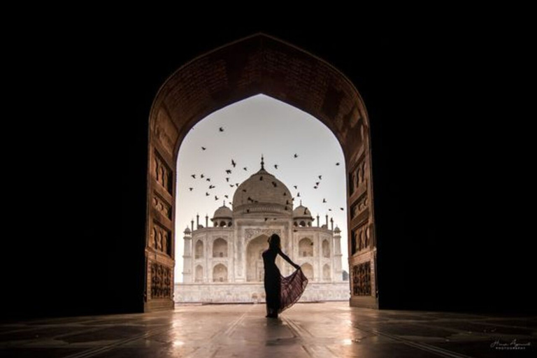 Visite du Tajmahal en tuktuk, chameau et charrette à cheval