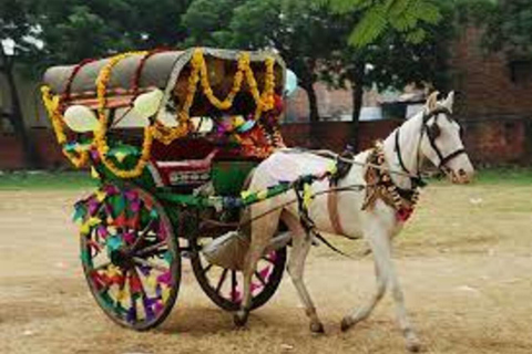 Visite du Tajmahal en tuktuk, chameau et charrette à cheval