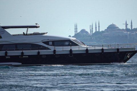 Istanbul: Bosporuscruise met tussenstop aan de Aziatische kant