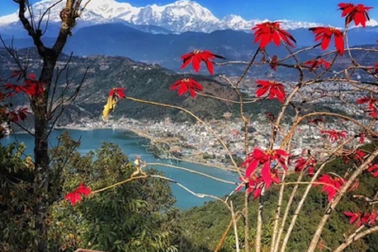 Discover Pokhara Valley: Caves, Museums, and Temples Tour