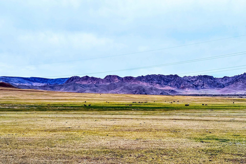 Chinggis Khaan Equestrian Statue & Monastery Tour