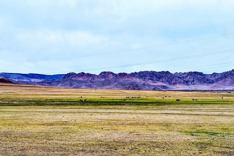 Chinggis Khaan Equestrian Statue & Monastery Tour