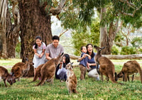 Full-Day Private Australian Wildlife Tour of Phillip Island - Housity