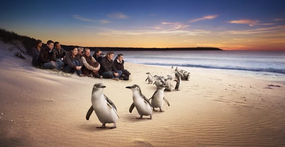 Ganztägige private Tour durch die australische Tierwelt auf Phillip Island