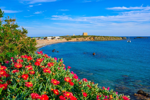 From Valencia: Tabarca Island Full Day Trip Tour from VALENCIA