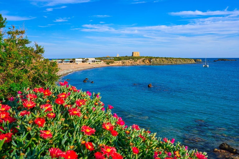 From Valencia: Tabarca Island Full Day Trip Tour from VALENCIA