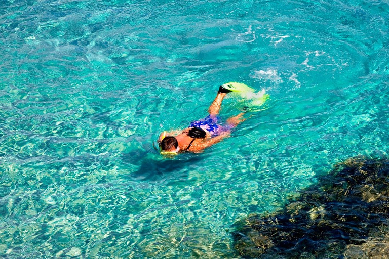 From Valencia: Tabarca Island Full Day Trip Tour from VALENCIA