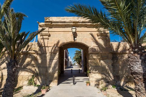 From Valencia: Tabarca Island Full Day Trip Tour from VALENCIA