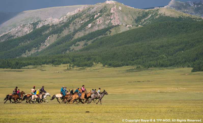 Terelj National Park: Tour with horse riding and hiking