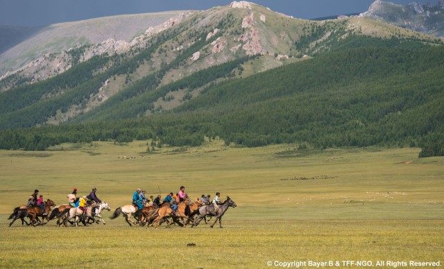 Visit Terelj National Park Tour with horse riding and hiking in Ulaanbaatar