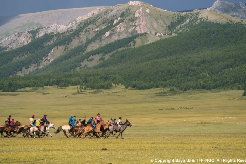 Park Narodowy Terelj: Wycieczka z jazdą konną i wędrówkami