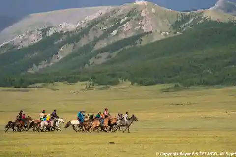 Terelj National Park: Tour with horse riding and hiking