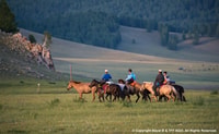 Parco Nazionale di Terelj, Tour con equitazione ed escursioni - Hizvo