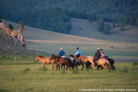 Parque Nacional de Terelj: Excursión a caballo y senderismo